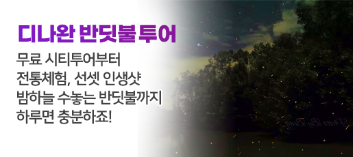 디나완 반딧불 투어