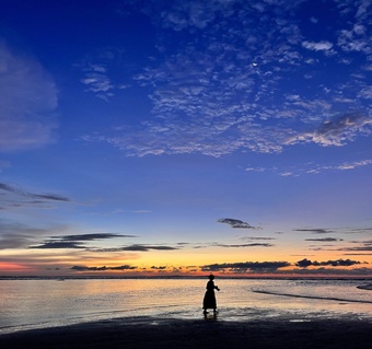 코타키나발루 반딧불이 투어 지역별 완벽 비교! 내 여행 스타일에 맞는 최적 장소는?