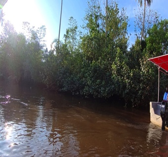 코타키나발루 반딧불투어 완벽 가이드 | 일정·요금·준비물까지 한 번에! ✨