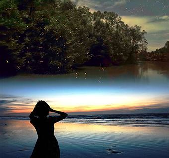 디나완 반딧불 투어(+시티투어포함)