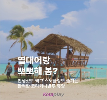 코타키나발루 만따나니 섬투어 완벽 가이드: 스노클링부터 반딧불까지 한번에!