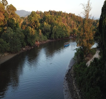 코타키나발루 반딧불 투어 시간 완벽 가이드  일정부터 공항 드랍까지!