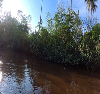 코타키나발루 반딧불투어 완벽 가이드  일정부터 예약까지 한번에!