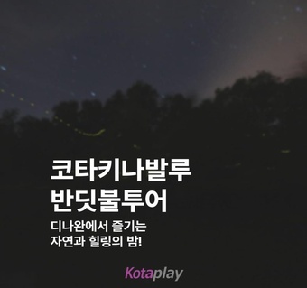 코타키나발루 디나완 반딧불투어 완벽 가이드 - 맹그로브 자연과 씨스파 마사지 패키지