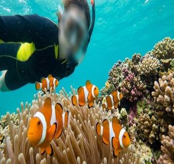 코타키나발루 보트 스노클링, 3개 포인트로 완벽한 아일랜드호핑 체험하기