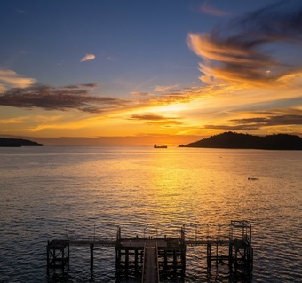 코타키나발루 스쿠버다이빙 가야섬 vs 사피섬 완벽 비교 가이드