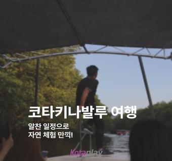 코타키나발루 자유여행 일정 완벽 가이드! 반딧불 투어부터 자연 체험까지 한 번에 