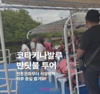 코타키나발루 반딧불 투어 시간표 완전정복! 6시간 알찬 일정 가이드 