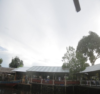 코타키나발루5월여행 반딧불 투어 맹글로브 석양 경험