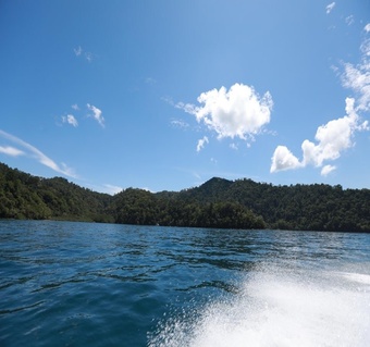 코타키나발루 가야섬 vs 마누칸섬 완벽 비교 가이드