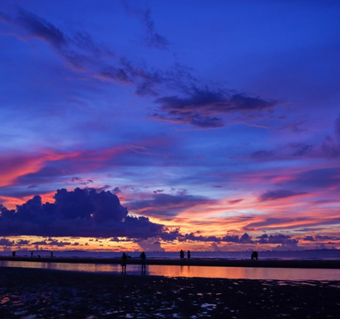코타키나발루 반딧불 투어 리얼후기