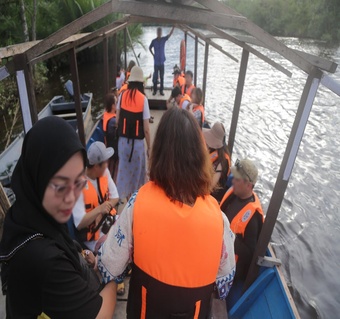 코타키나발루 반딧불 투어 완벽 가이드: 맹그로브 숲에서 만나는 자연의 빛 축제