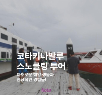 코타키나발루 스노클링 투어 완전 가이드: 가야섬 해양생물 탐험